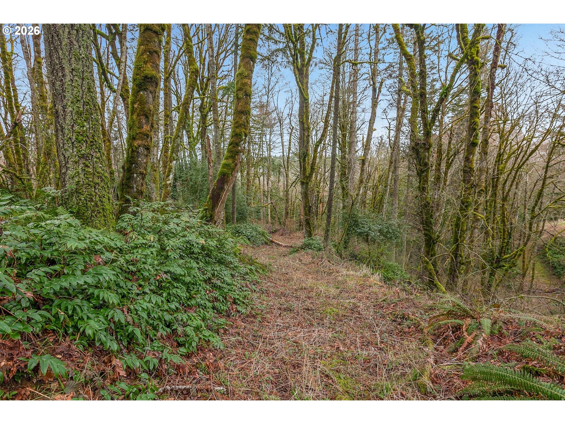 0 Northwest Summitview Drive Portland, OR 97229 - Photo 10 of 13