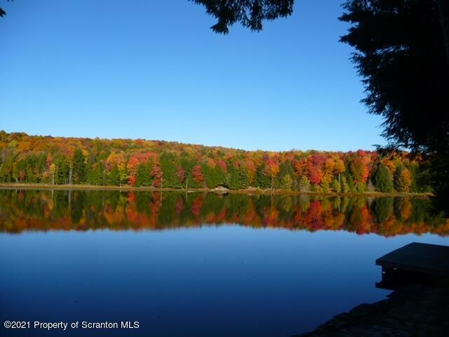 555 Cranberry Lake Road Brackney, PA 18812 - Photo 28 of 29 Gallery Image 28
