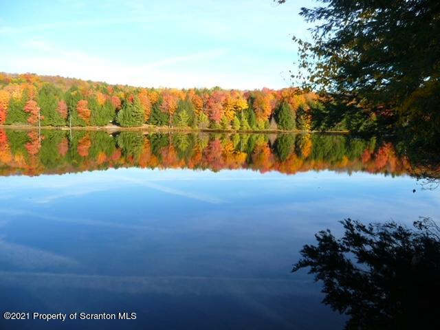 555 Cranberry Lake Road Brackney, PA 18812 - Photo 29 of 29 Gallery Image 29