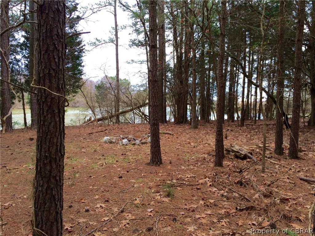 0 White Point Road Kinsale, VA 22488 - Photo 4 of 36