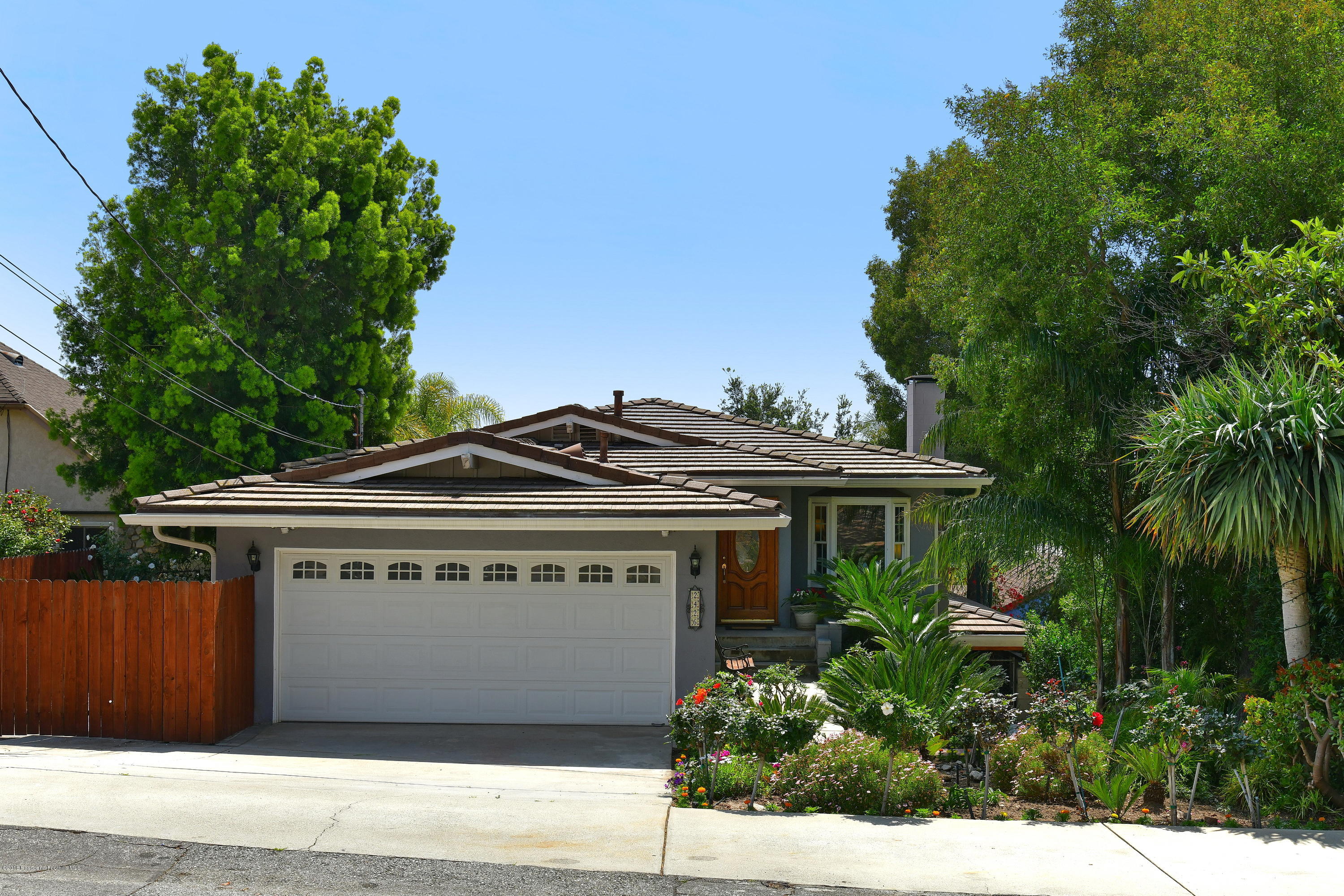 2426 Orange PRINT 01