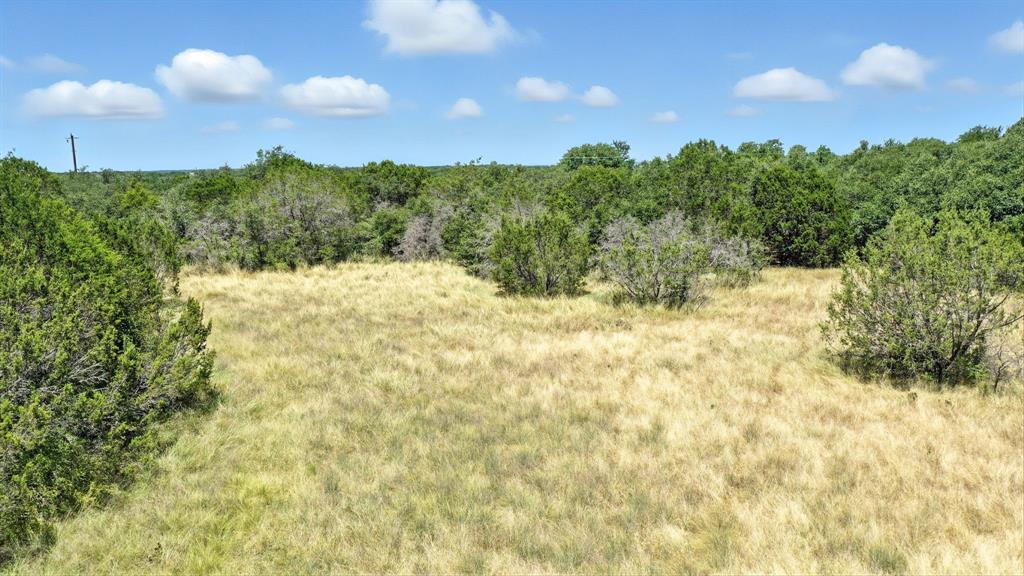 Tbd Ridge Way Drive Bluff Dale, TX 76433 - Photo 4 of 15 a view of a yard with large trees
