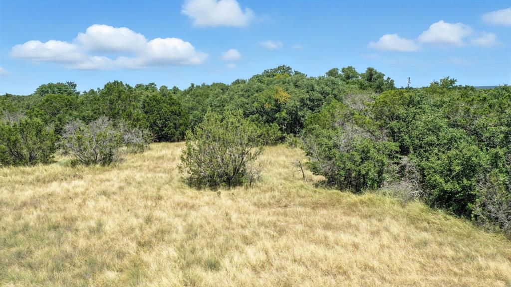 Tbd Ridge Way Drive Bluff Dale, TX 76433 - Photo 5 of 15 a view of a yard with plants and a tree
