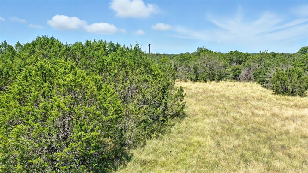 Tbd Ridge Way Drive Bluff Dale, TX 76433 - Photo 6 of 15 a view of a bunch of trees and bushes