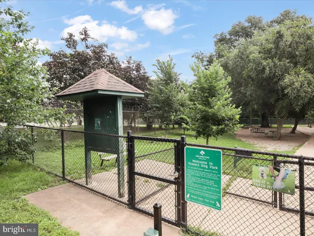 a view of a garden with a bench in the garden