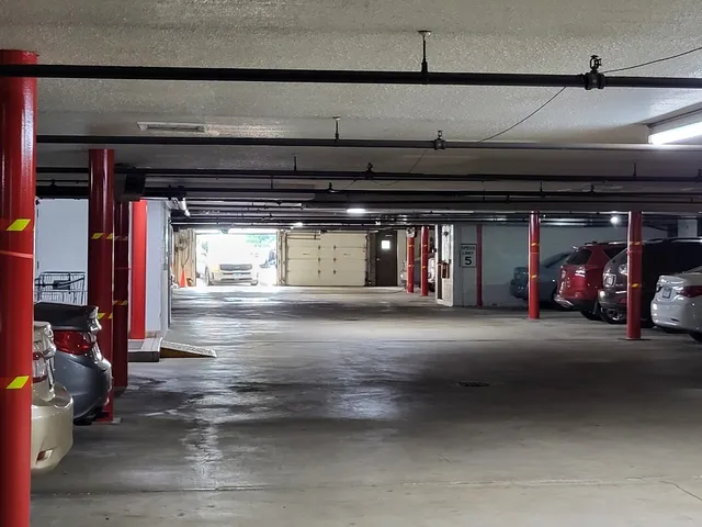 a view of a garden with plants