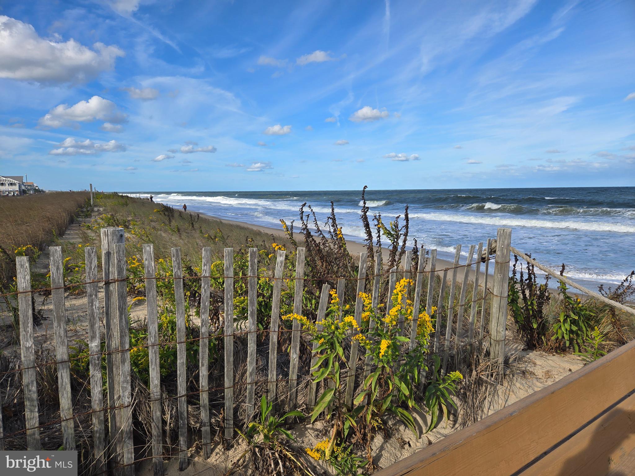 37531 Bonnie Street Ocean View, DE 19970 - Photo 61 of 62 October Bethany Beach