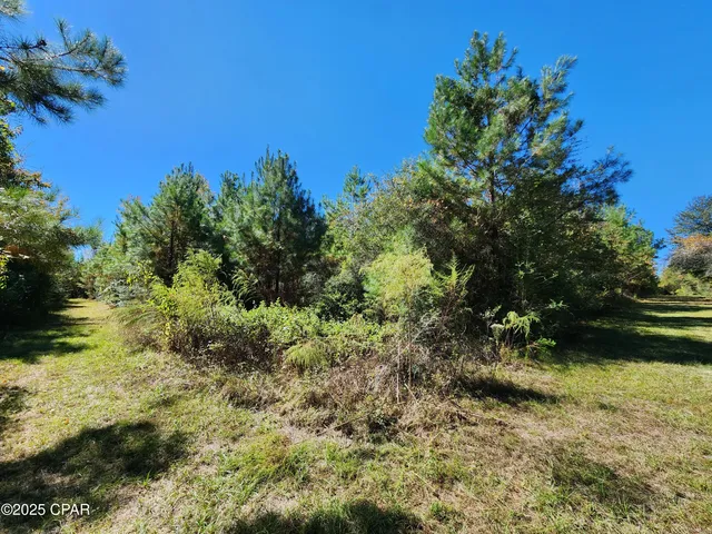 $471,700 | 0 Pineridge Church Road, Marianna, FL 32448