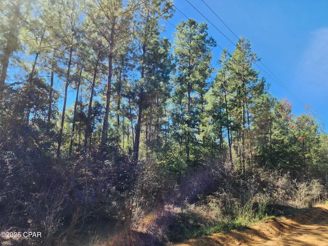 $471,700 | 0 Pineridge Church Road, Marianna, FL 32448