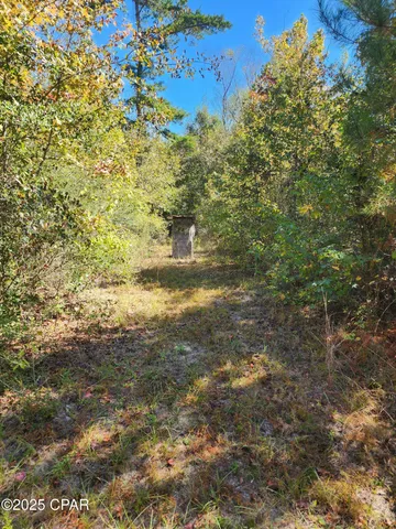 $471,700 | 0 Pineridge Church Road, Marianna, FL 32448