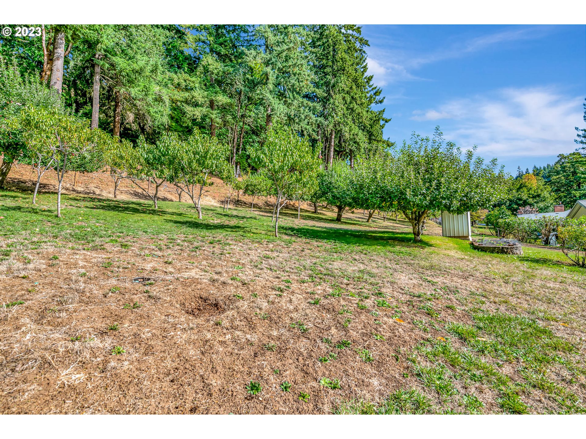 33756 Molitor Hill Road Cottage Grove, OR 97424 - Photo 27 of 48 Gallery Image 27