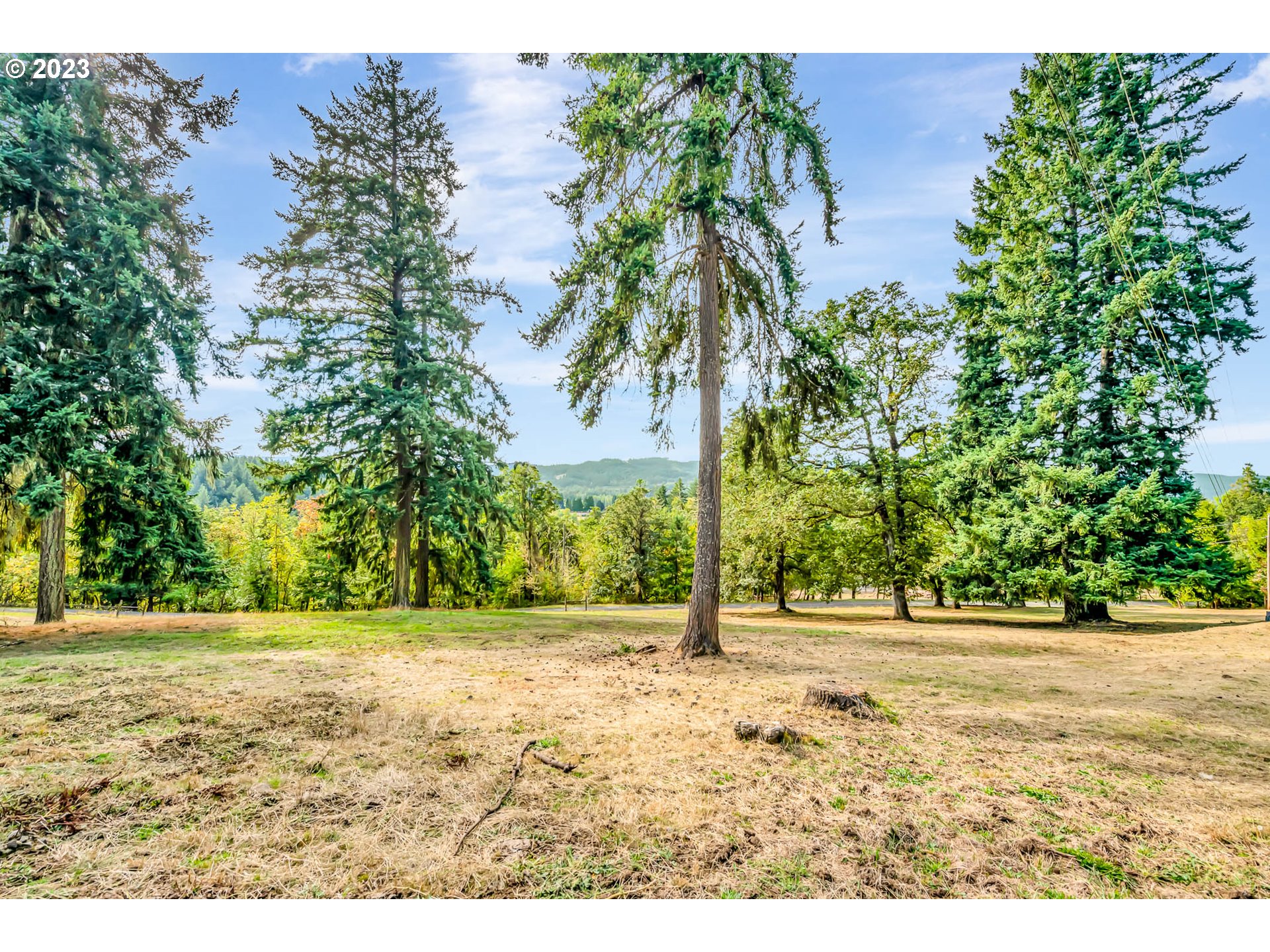 33756 Molitor Hill Road Cottage Grove, OR 97424 - Photo 28 of 48 Gallery Image 28