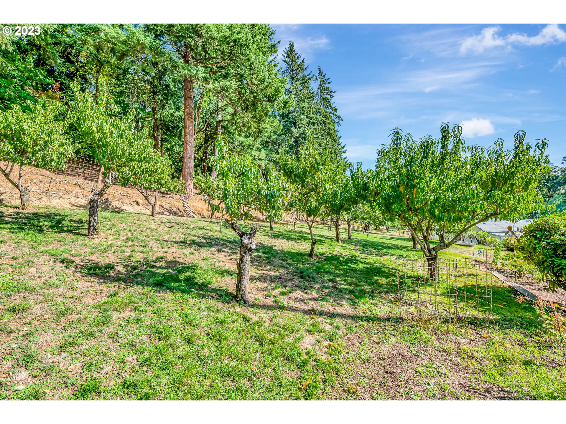 33756 Molitor Hill Road Cottage Grove, OR 97424 - Photo 43 of 48 Gallery Image 43