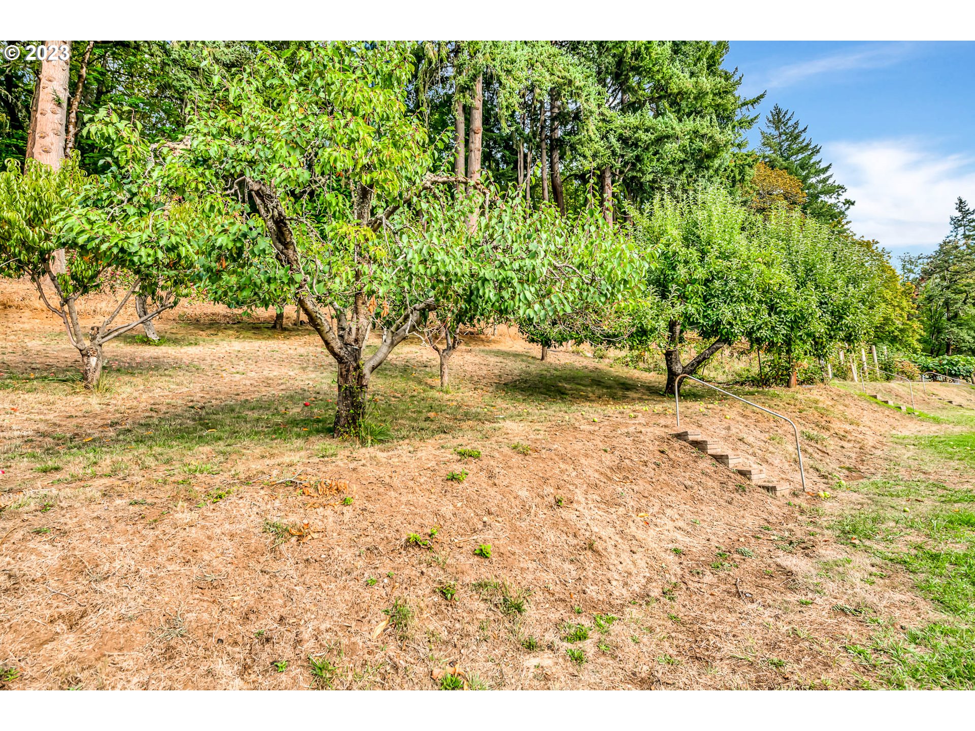 33756 Molitor Hill Road Cottage Grove, OR 97424 - Photo 48 of 48 Gallery Image 48