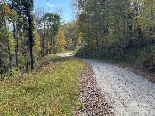 a view of a yard with trees