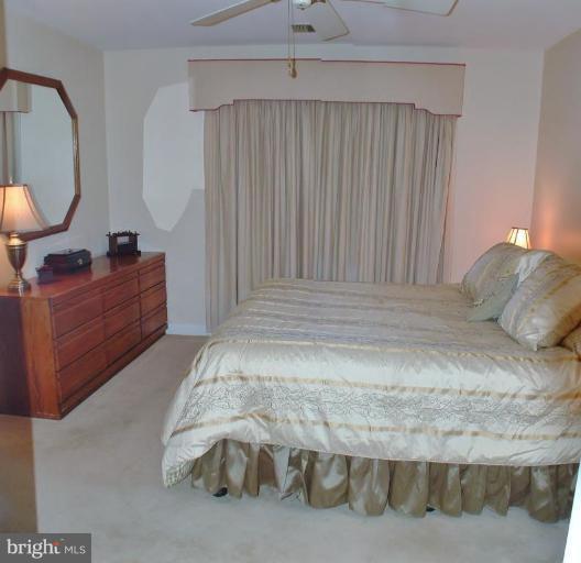 6830 Hayley Ridge Way, Unit G Baltimore, MD 21209 - Photo 8 of 11 Master Bedroom