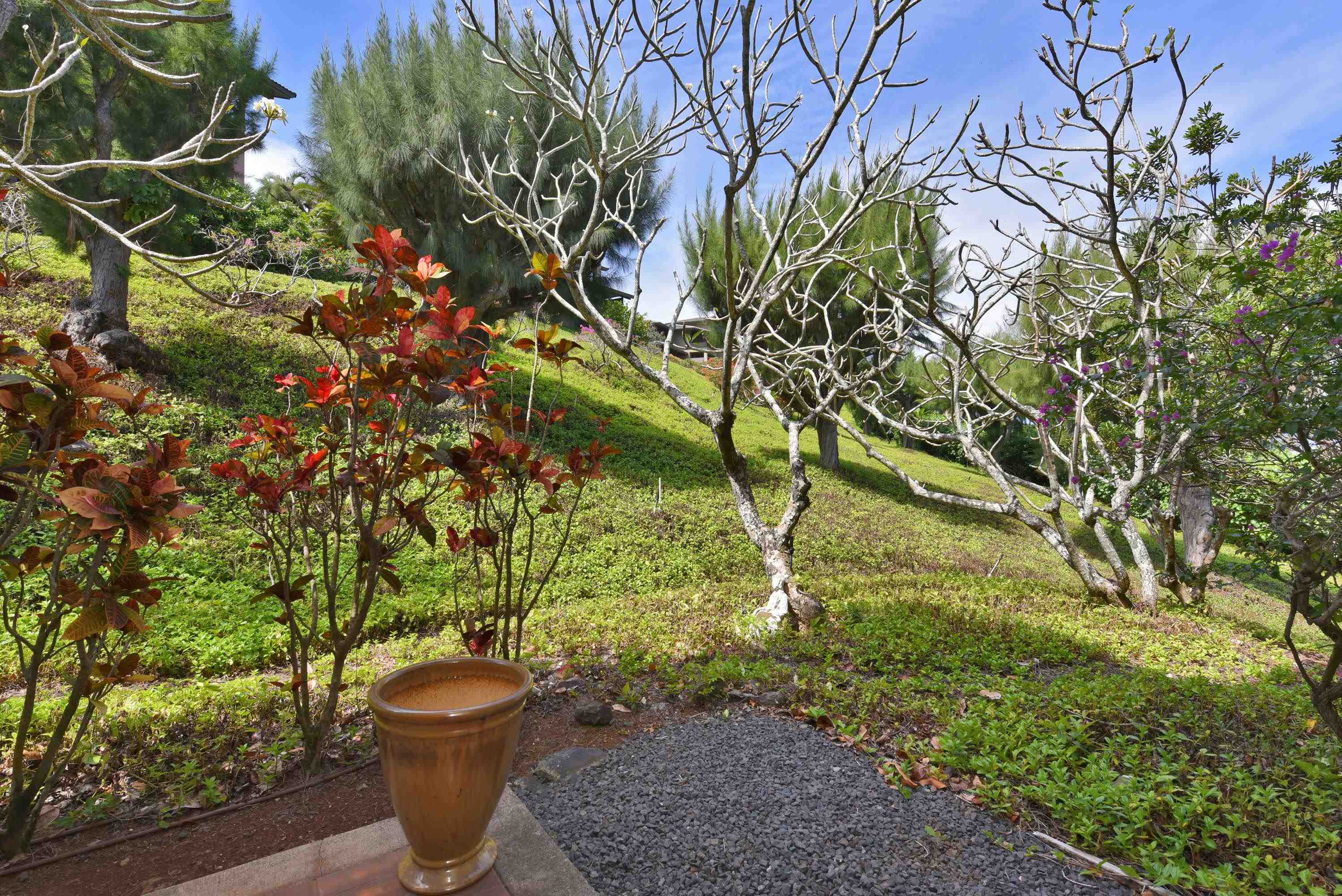 100 Ridge Road, Unit 21113 Lahaina, HI 96761 - Photo 34 of 41 Gallery Image 34