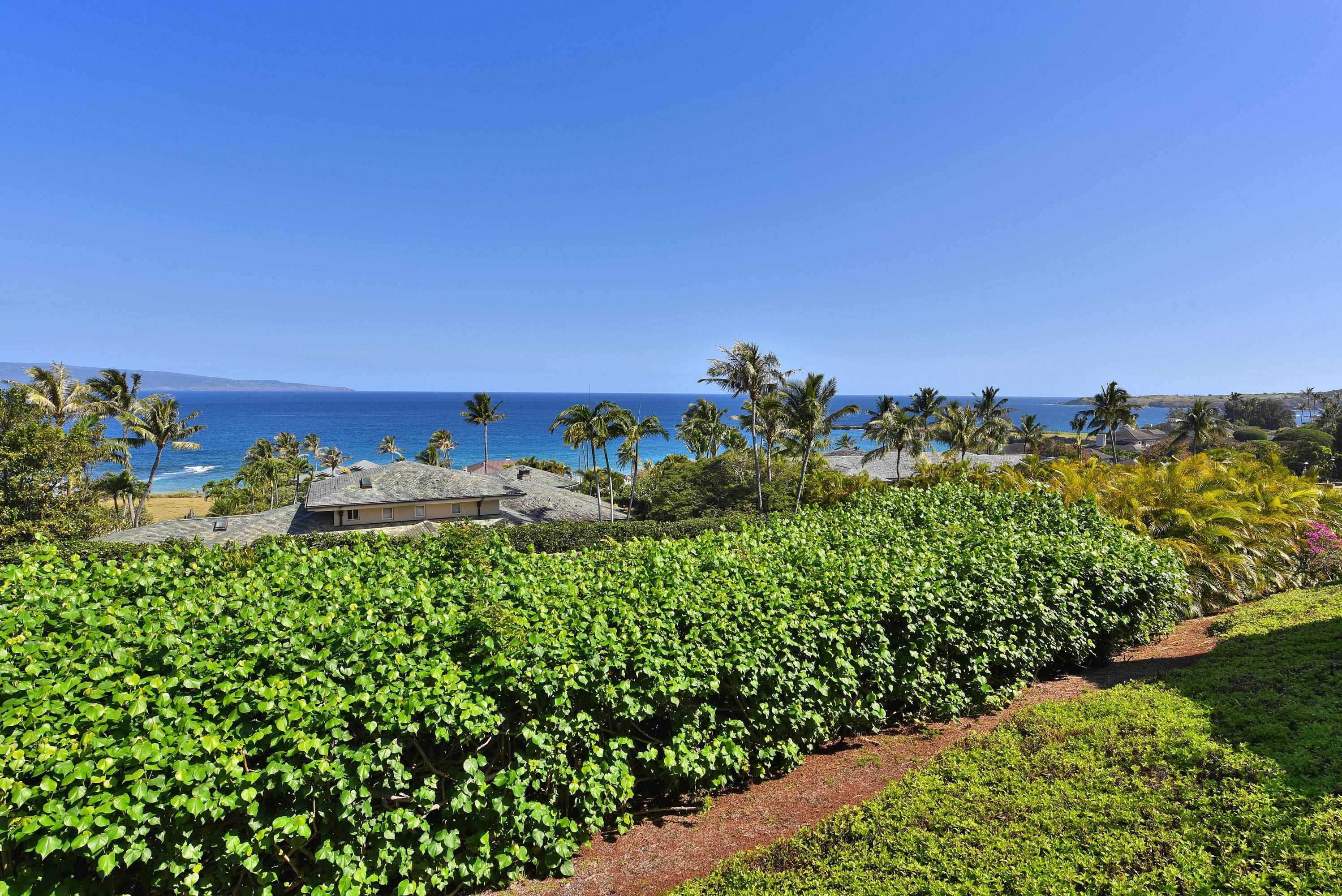 100 Ridge Road, Unit 21113 Lahaina, HI 96761 - Photo 8 of 41 Gallery Image 8