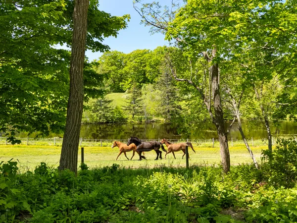 $895,000 | 32 Fox Meade Lane, Searsmont, ME 04973