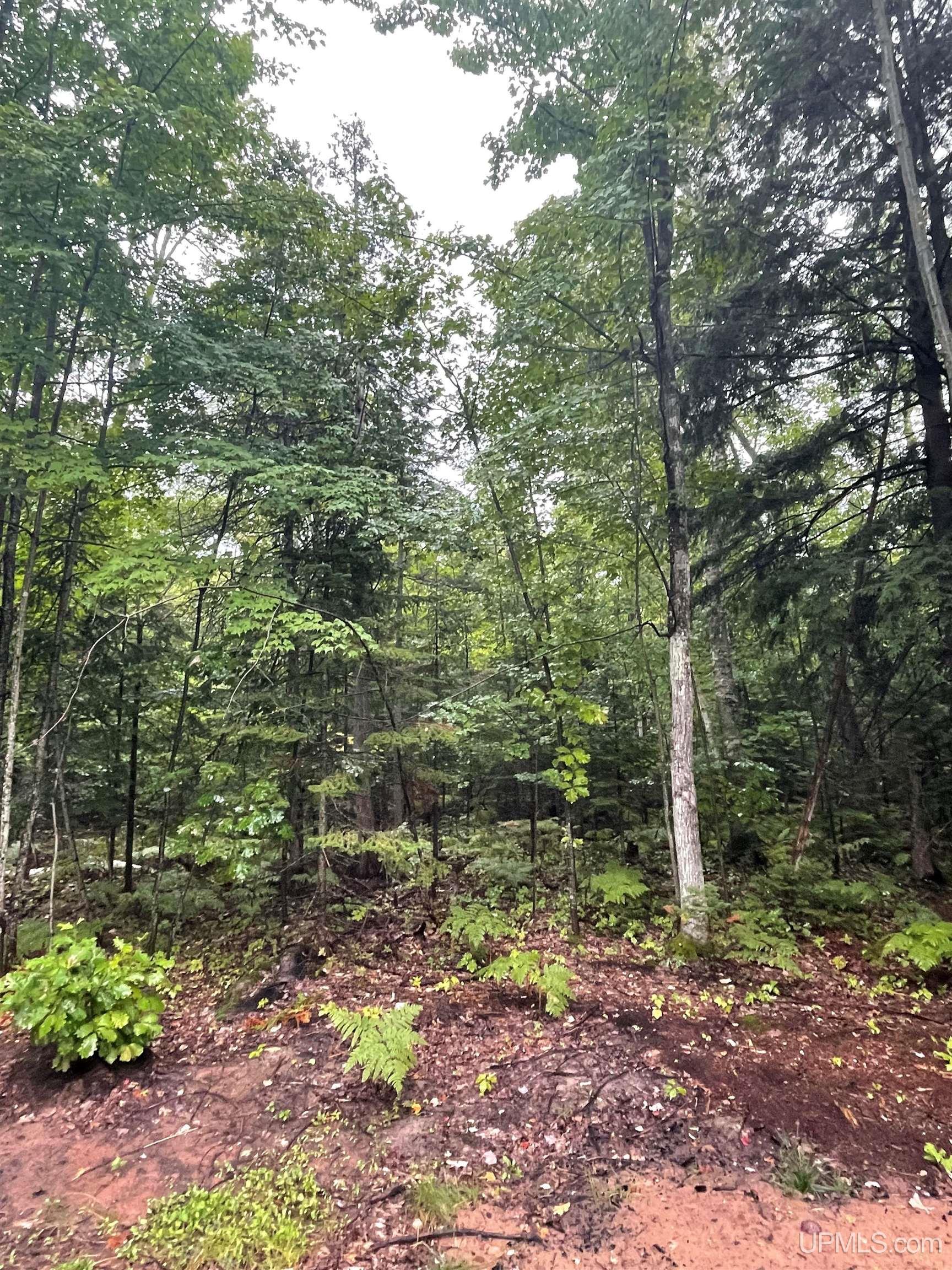 26950-26881 East Grosse Point Road Hancock, MI 49930 - Photo 14 of 23