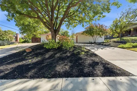 a view of a backyard with large trees