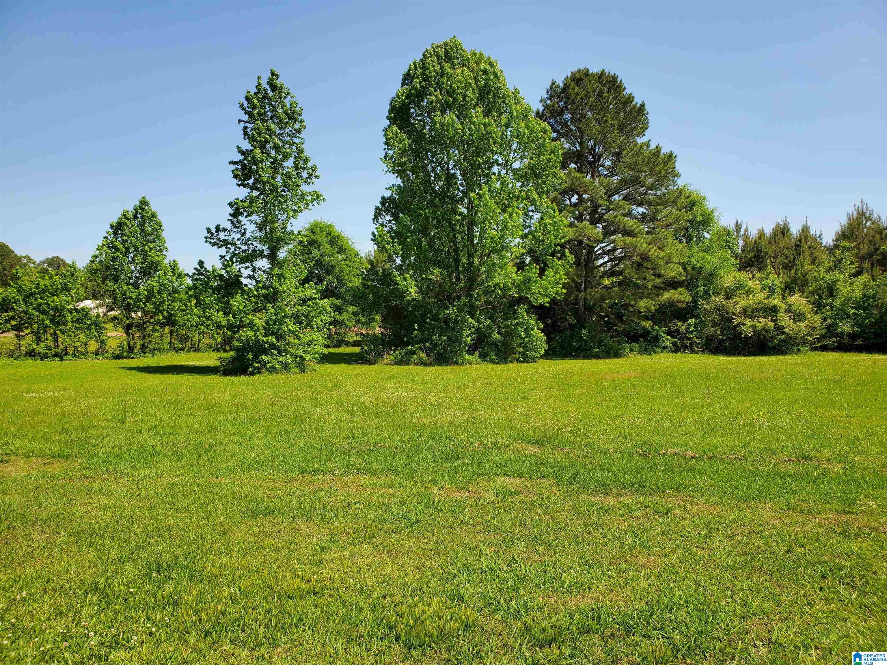 1704 Slasham Road Ashville, AL 35953 - Photo 17 of 18