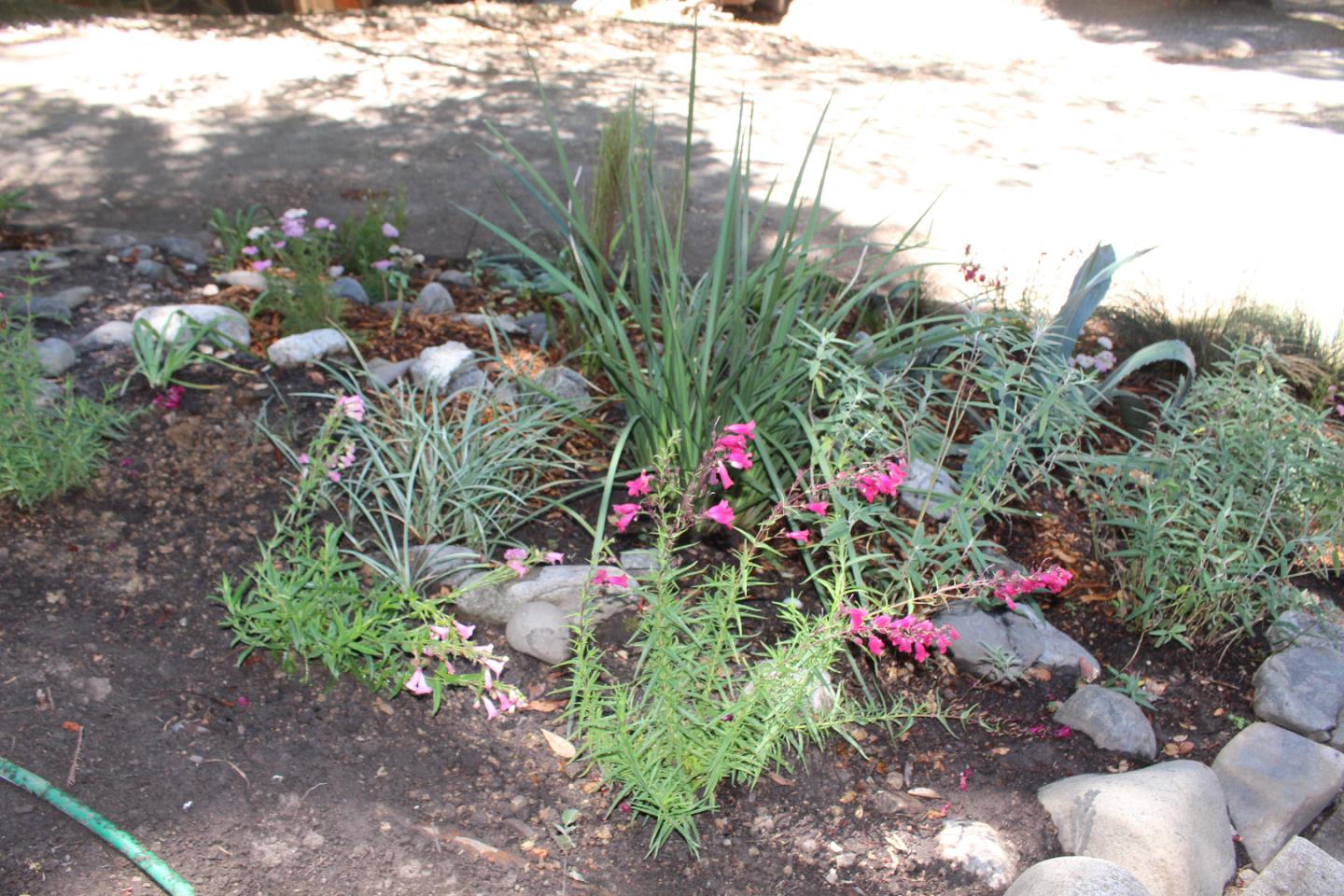 601 Spring Street Felton, CA 95018 - Photo 8 of 13 Gallery Image 8