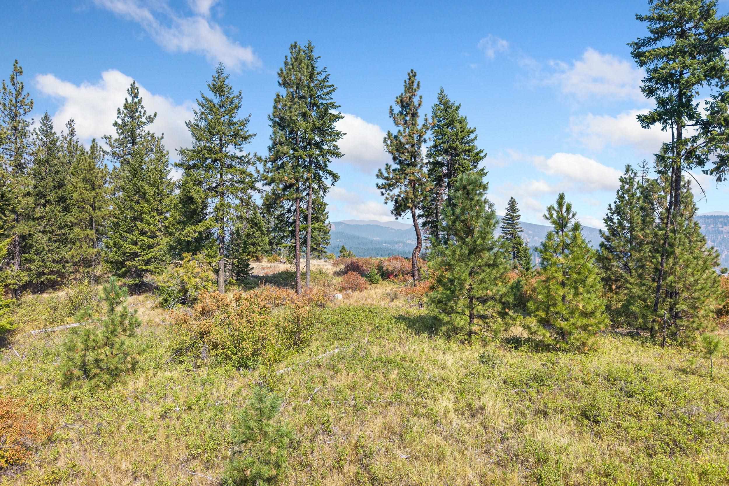 Nka Hoag Road Valley, WA 99181 - Photo 9 of 35 Gallery Image 9