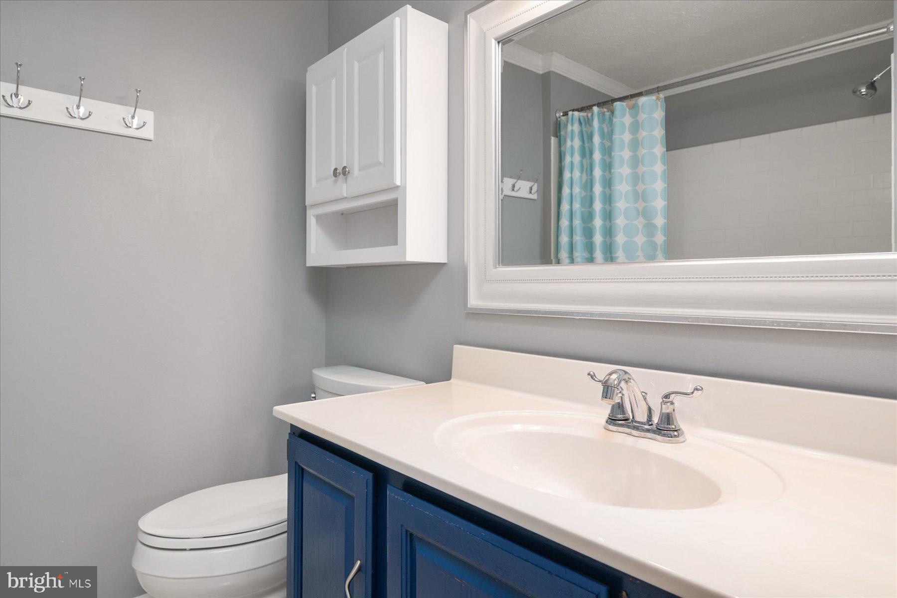 727 Dayspring Drive Odenton, MD 21113 - Photo 30 of 44 a bathroom with a sink and a toilet