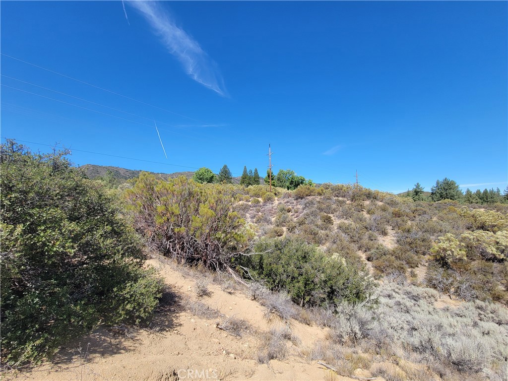 0 Tule Peak Road Aguanga, CA 92536 - Photo 11 of 18 a view of a dry yard with mountains in the background