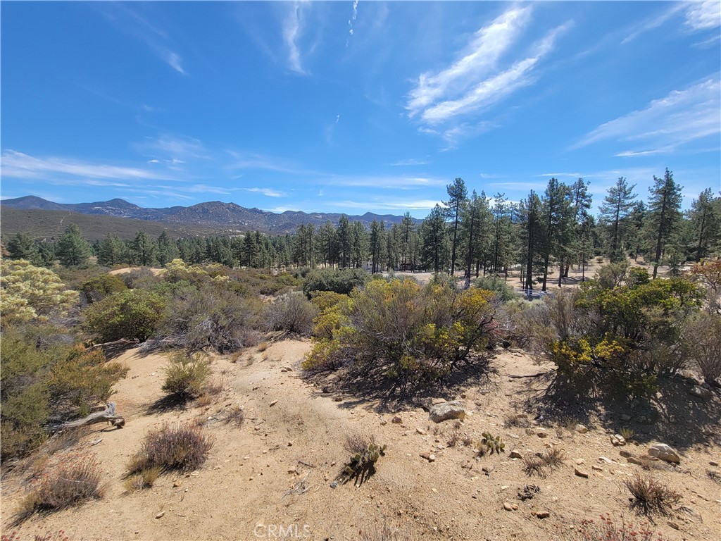 0 Tule Peak Road Aguanga, CA 92536 - Photo 12 of 18 a view of a forest with mountains in the background