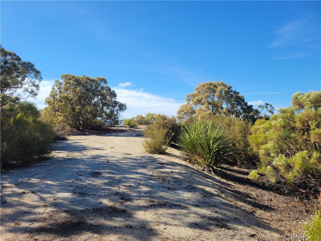 0 Tule Peak Road Aguanga, CA 92536 - Photo 4 of 18 a view of a yard