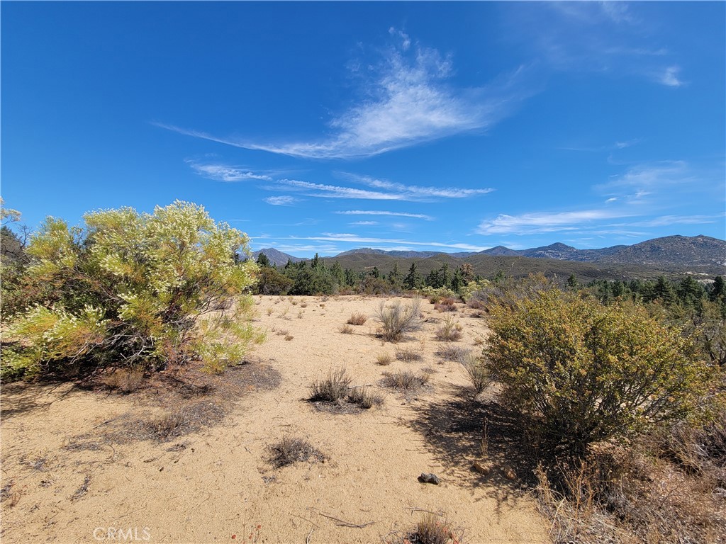 0 Tule Peak Road Aguanga, CA 92536 - Photo 8 of 18 a view of a large body of water with a large tree in the background