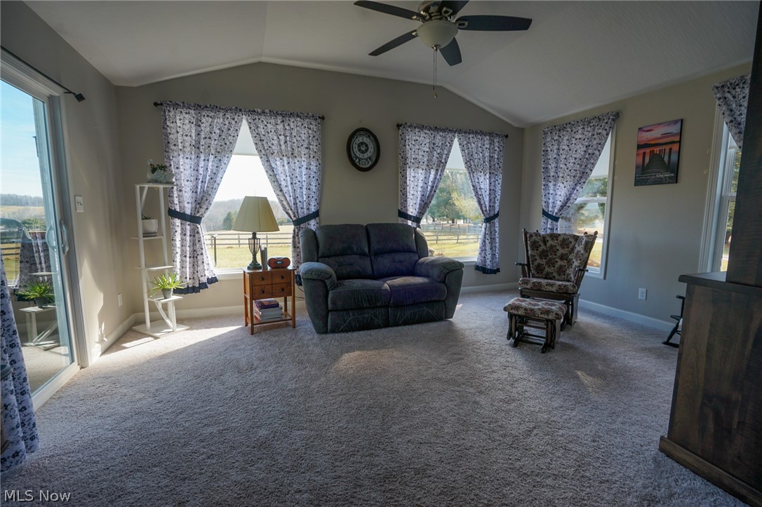 1325 County Line Road Hopewell, OH 43746 - Photo 9 of 45 Living area featuring carpet floors, ceiling fan, and vaulted ceiling