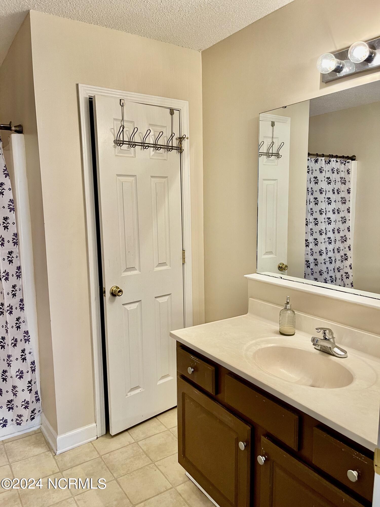 221 Farmstead Court Rockingham, NC 28379 - Photo 19 of 22 master bathroom