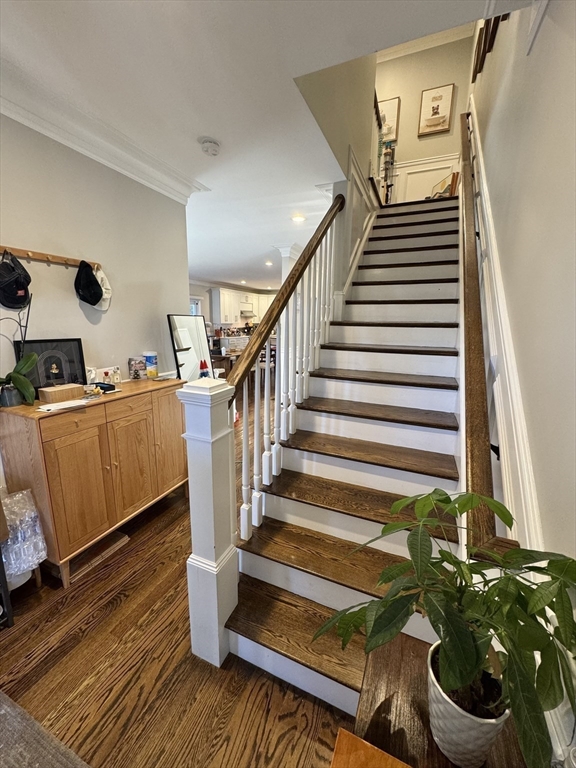 3 Saco Street, Unit 3 Newton, MA 02464 - Photo 30 of 41