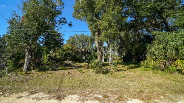 a view of outdoor space with trees