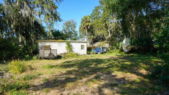 a view of a backyard with large trees and plants