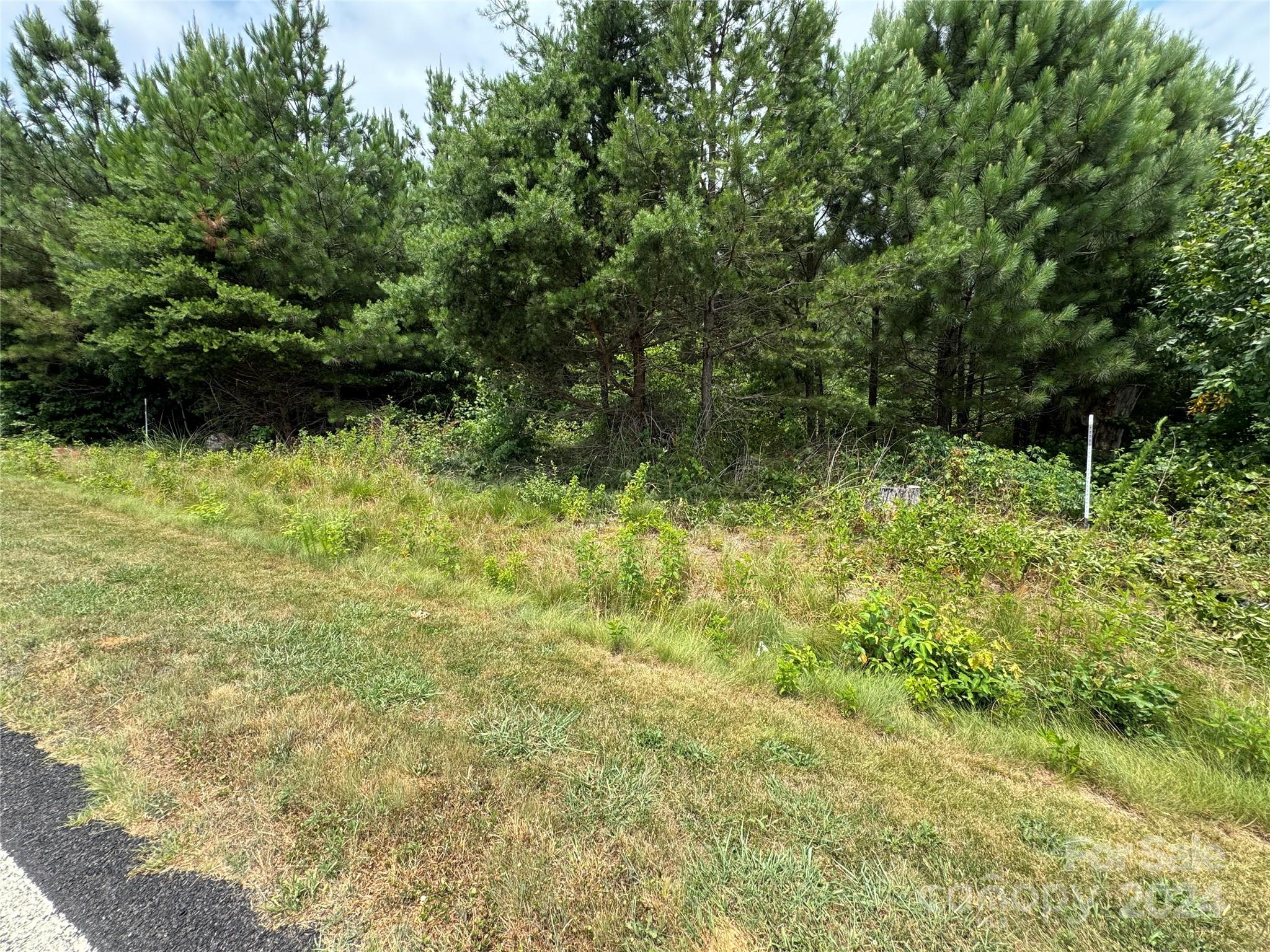 0 Reeves Island Road Gold Hill, NC 28071 - Photo 1 of 6