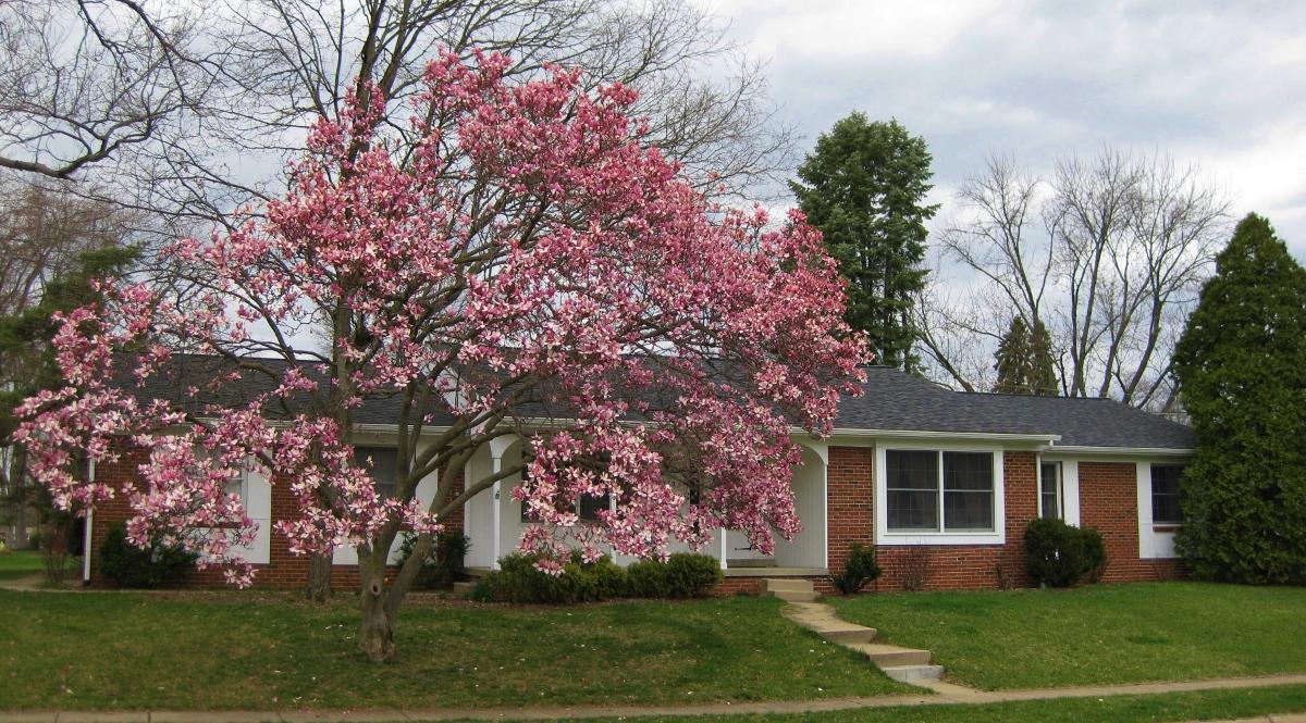 2372 Lytham Road Columbus, OH 43220 - Photo 61 of 62