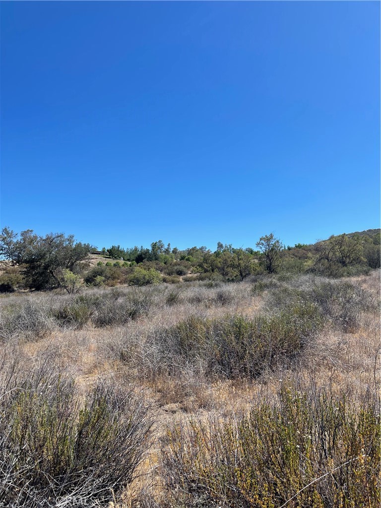 20 Aster Street Hemet, CA 92544 - Photo 7 of 13 a view of mountain view with trees in the background