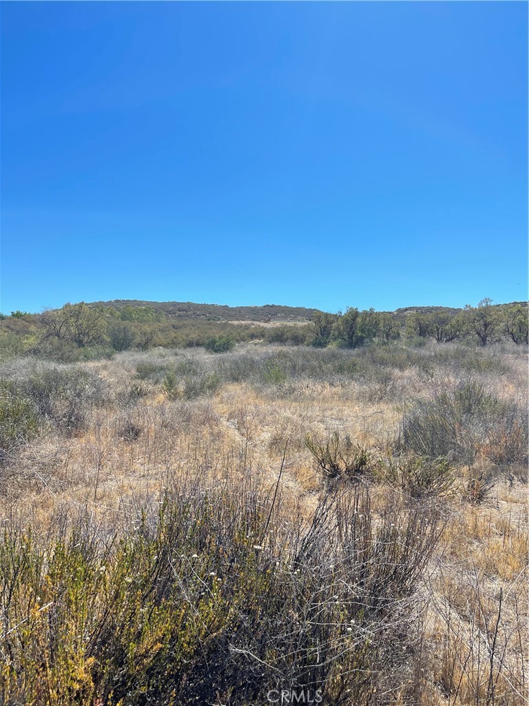 20 Aster Street Hemet, CA 92544 - Photo 8 of 13 a view of a field with trees in background