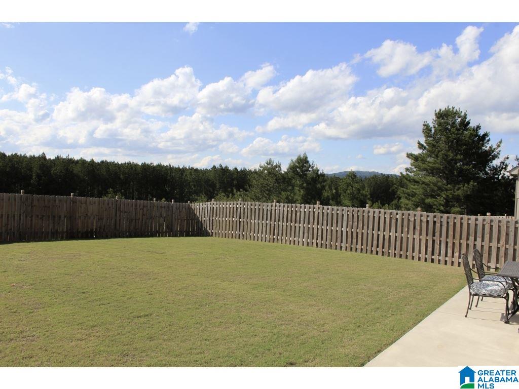 399 Crossbridge Road Chelsea, AL 35043 - Photo 4 of 34