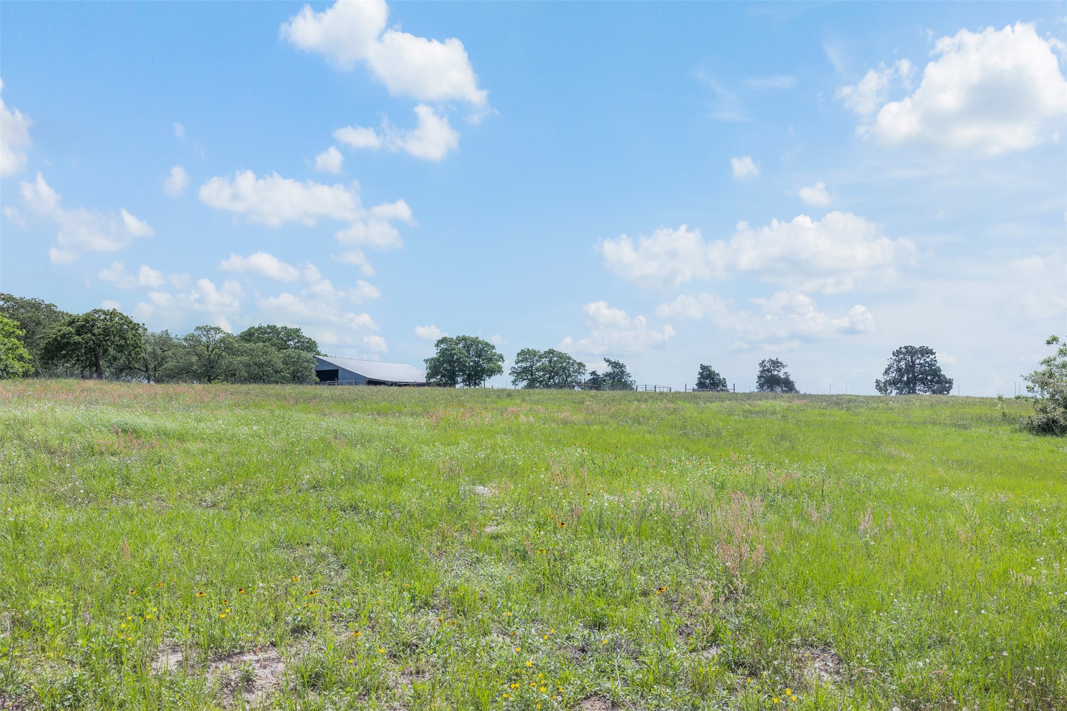 622 Red Rock Ranch Road Red Rock, TX 78662 - Photo 15 of 46 a view of a green field