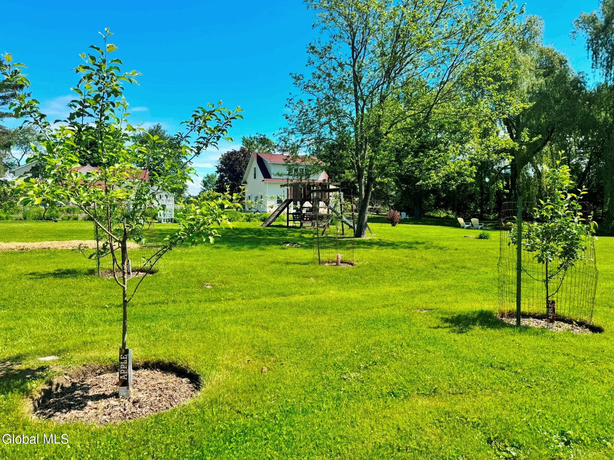 944 Stony Point Road Schodack, NY 12033 - Photo 26 of 99 4 Apple Trees