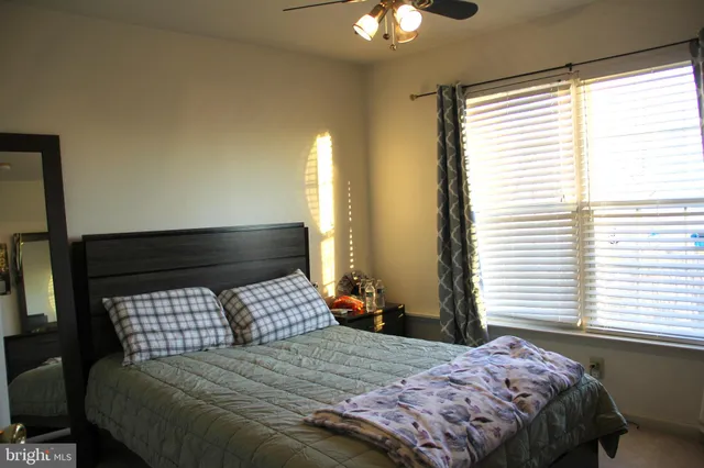 a big yard with lots of green space and trees