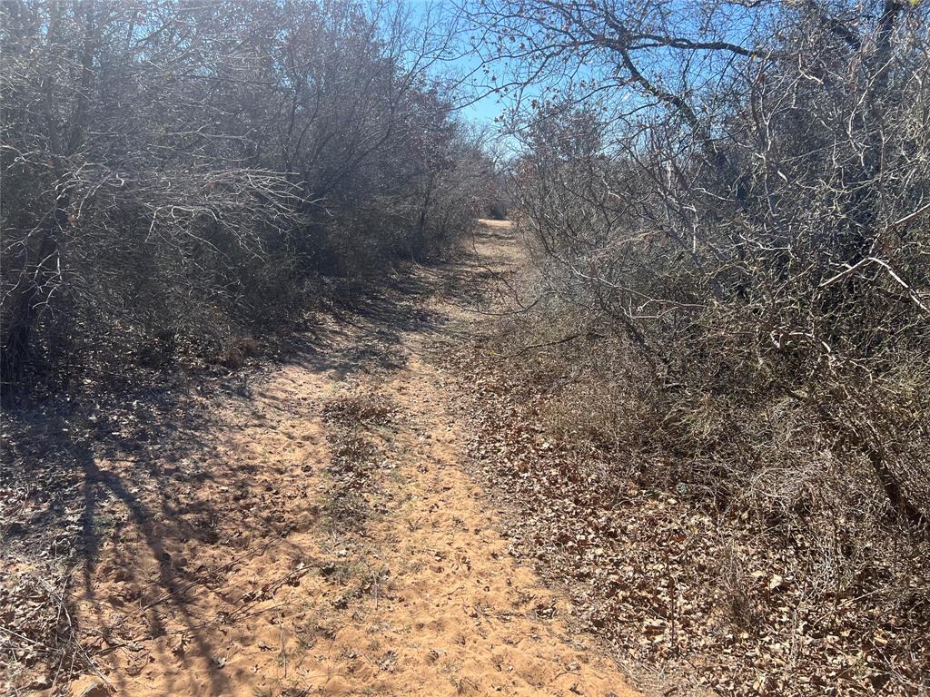 Marley Rd Marley Road Jacksboro, TX 76458 - Photo 1 of 1 View of local wilderness