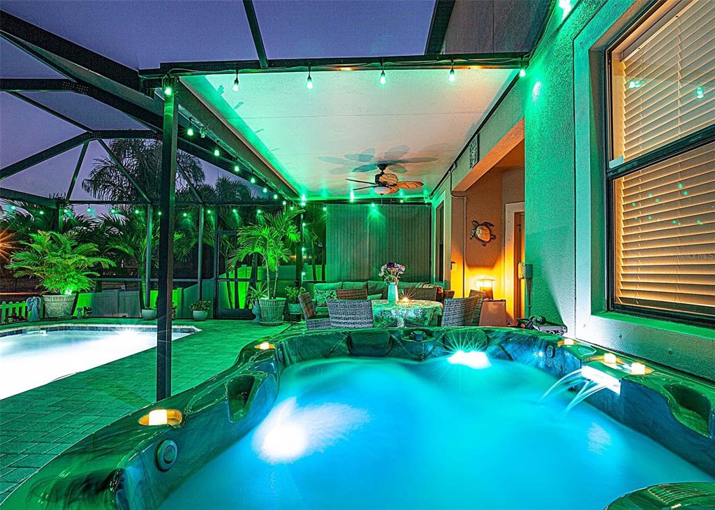 1716 Hadden Hall Place Trinity, FL 34655 - Photo 55 of 75 a view of swimming pool