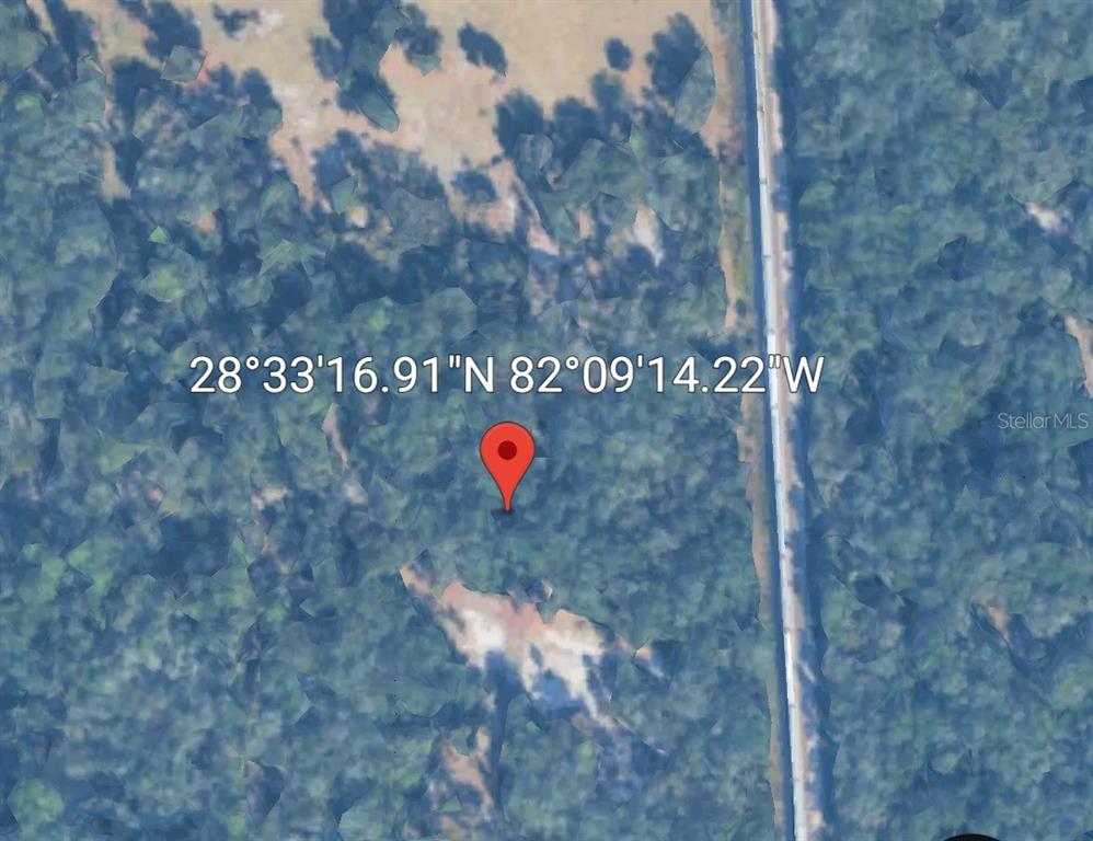 Pinon Drive Webster, FL 33597 - Photo 10 of 19