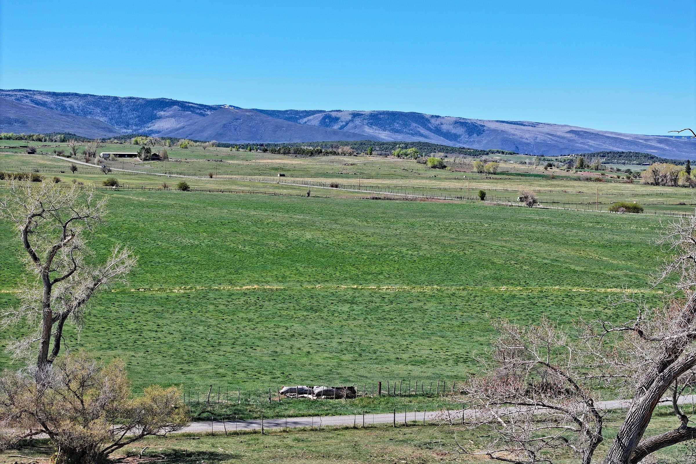 58749 Oe Road Collbran, CO 81624 - Photo 41 of 42 a view of a lush green hillside and a houses